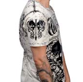 Click for Larger Images